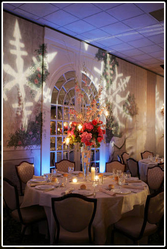 Wedding Event Lighting Themes